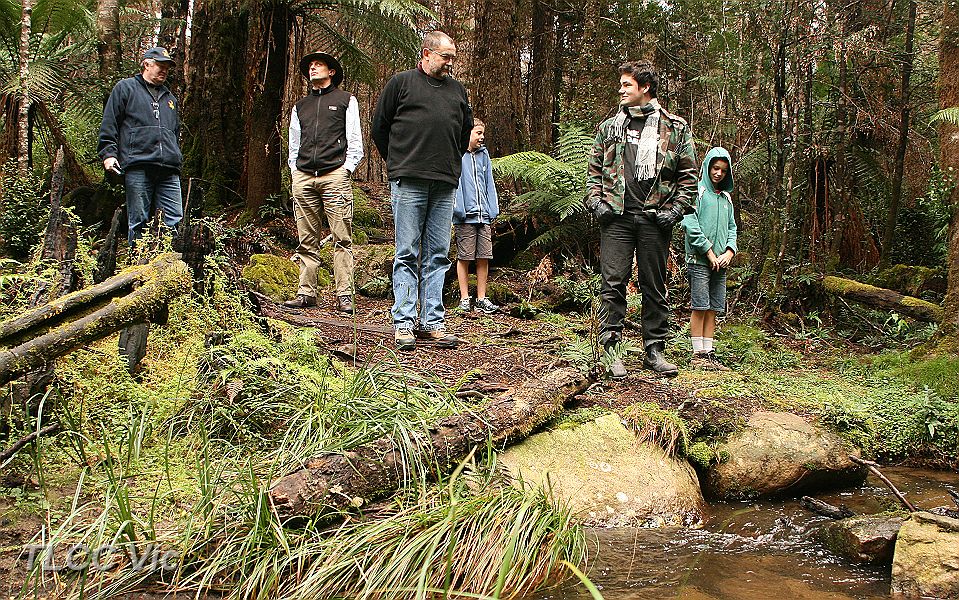 04-Convoy enjoy the Beeches.JPG